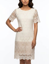 Imported Western mini dress net mini dress No-1414 Velnoor Store