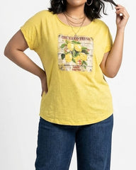 Imported Tshirt cotton jersey tshirt No-3363 Velnoor Store