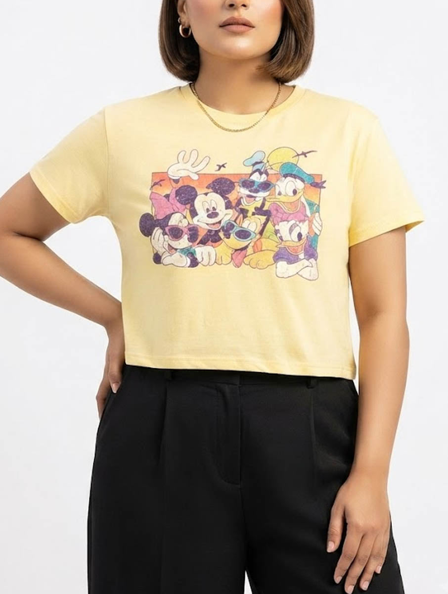 Imported Tshirt cotton jersey tshirt No-3106 Velnoor Store