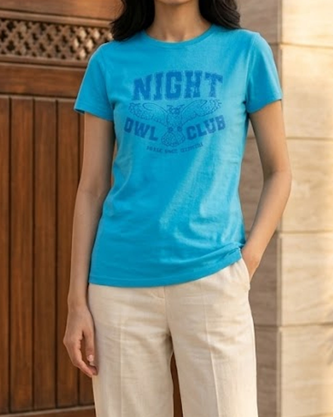 Imported Tshirt cotton tshirt No-2937 Velnoor Store